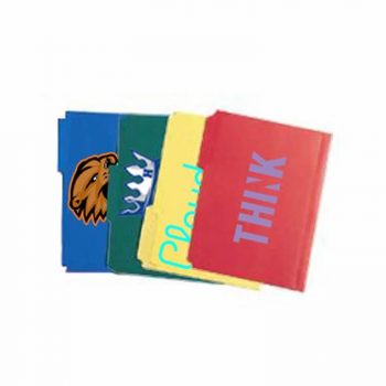 8.5 x 11 12 Pack Plastic File Folders